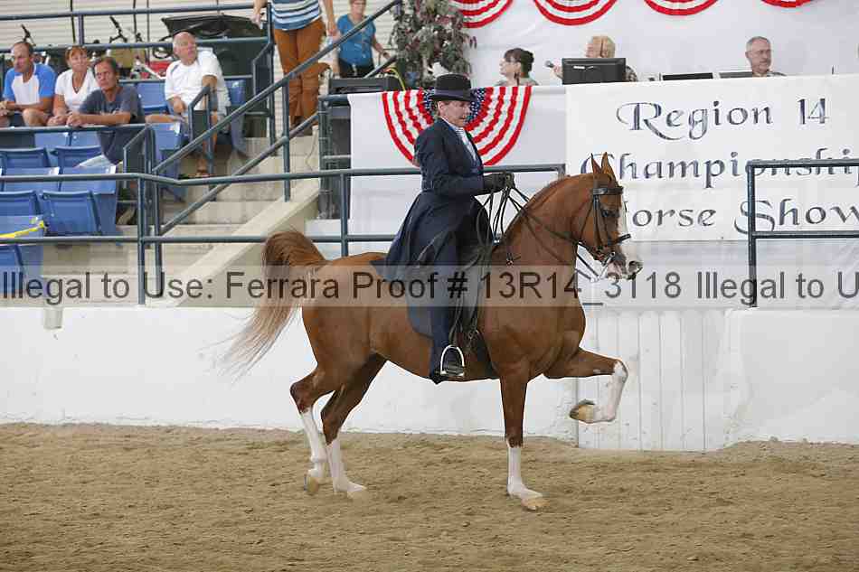 Proof 13r14_3118