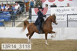 13r14_3118 proof