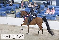 13r14_3127 proof