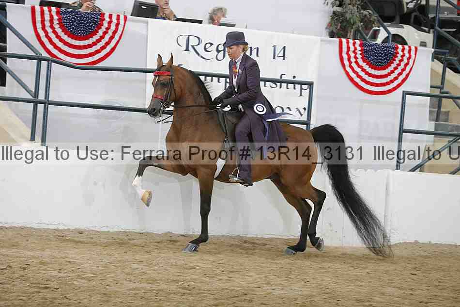 Proof 13r14_3131