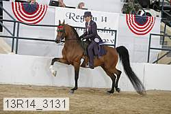 13r14_3131 proof
