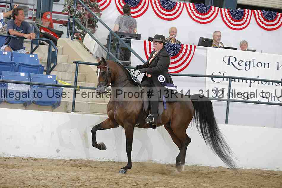 Proof 13r14_3132