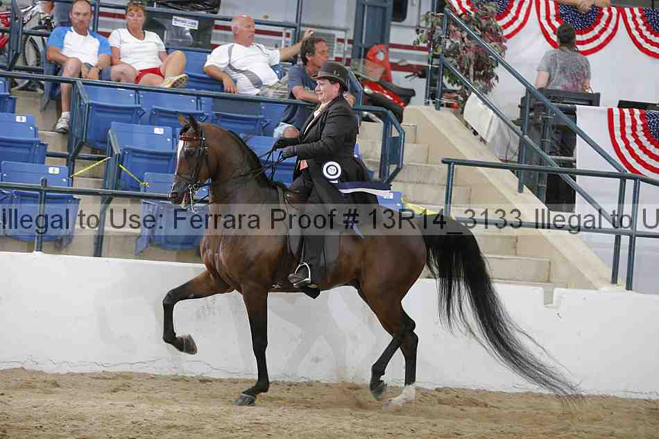 Proof 13r14_3133