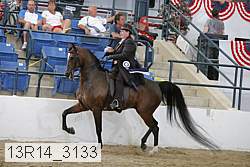 13r14_3133 proof