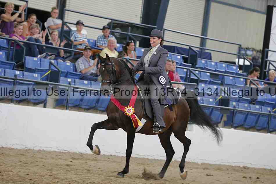 Proof 13r14_3134