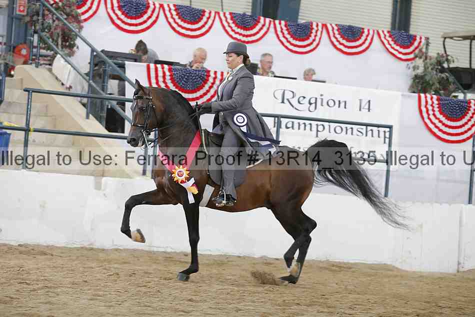 Proof 13r14_3135