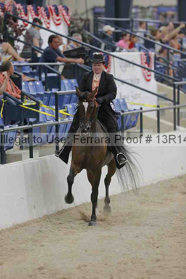 Proof 13r14_3136