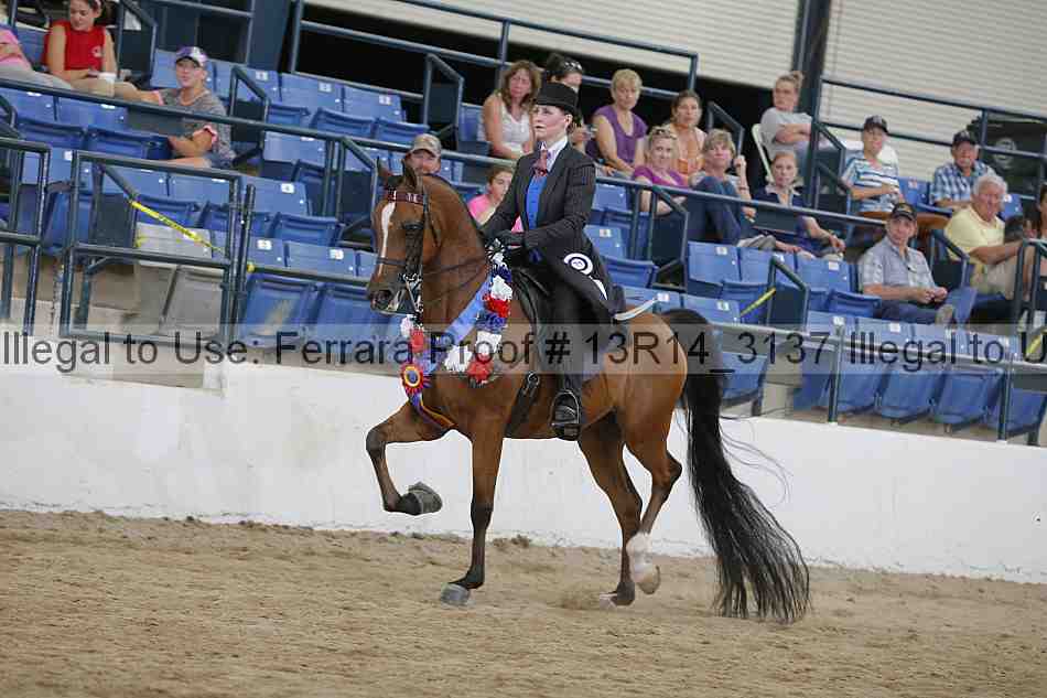 Proof 13r14_3137