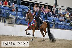 13r14_3137 proof