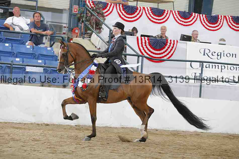 Proof 13r14_3139