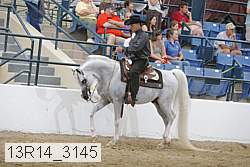 13r14_3145 proof