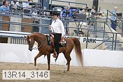 13r14_3146 proof