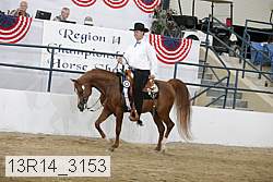 13r14_3153 proof