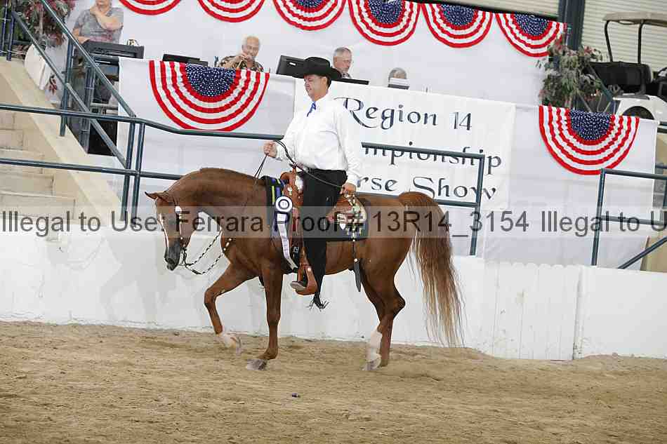 Proof 13r14_3154