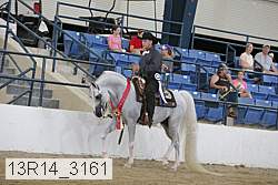 13r14_3161 proof