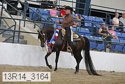 13r14_3164 proof