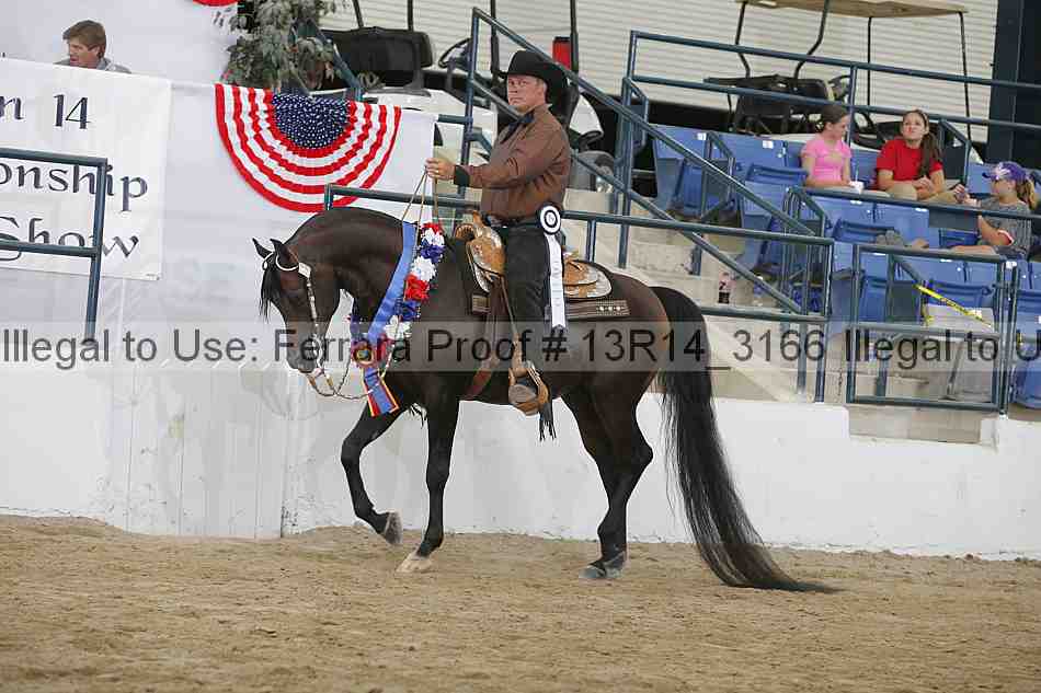 Proof 13r14_3166