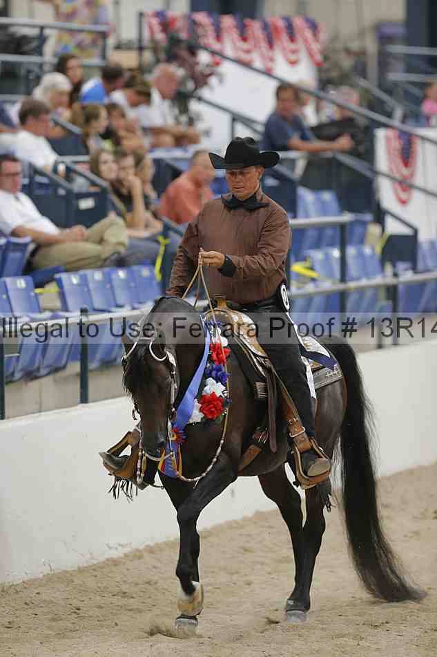 Proof 13r14_3170