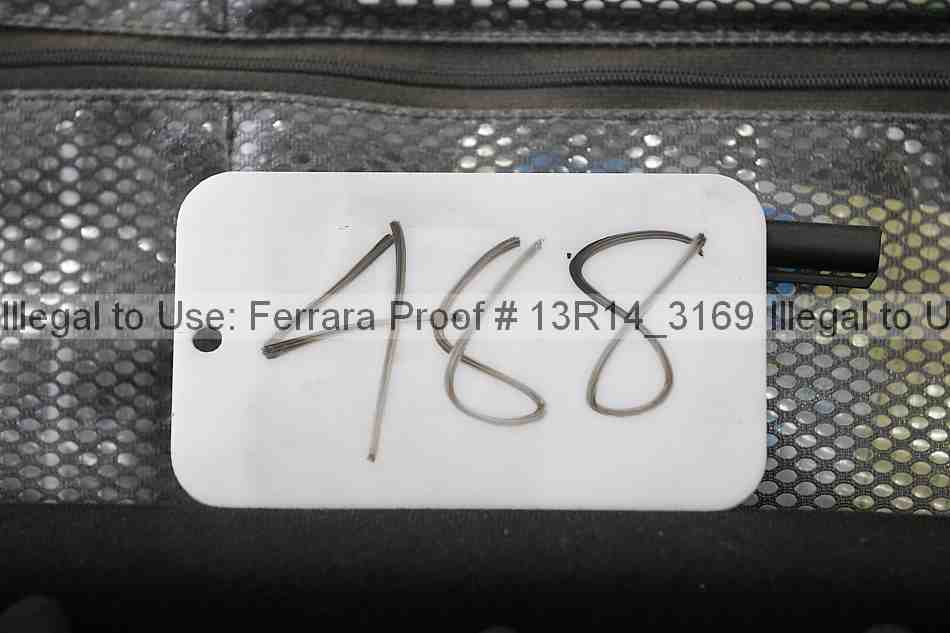 Proof 13r14_3169