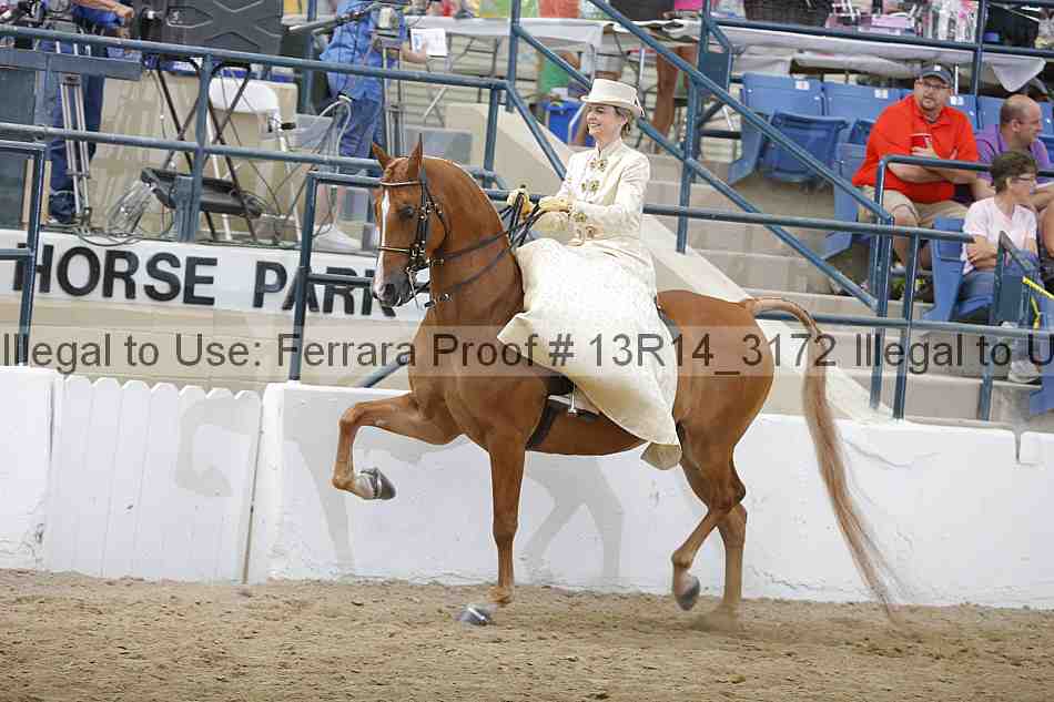 Proof 13r14_3172