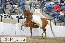 13r14_3172 proof