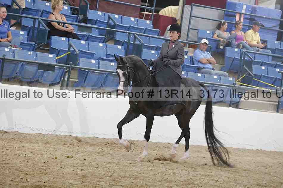 Proof 13r14_3173