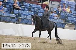 13r14_3173 proof