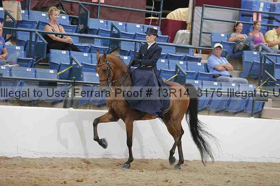 Proof 13r14_3175