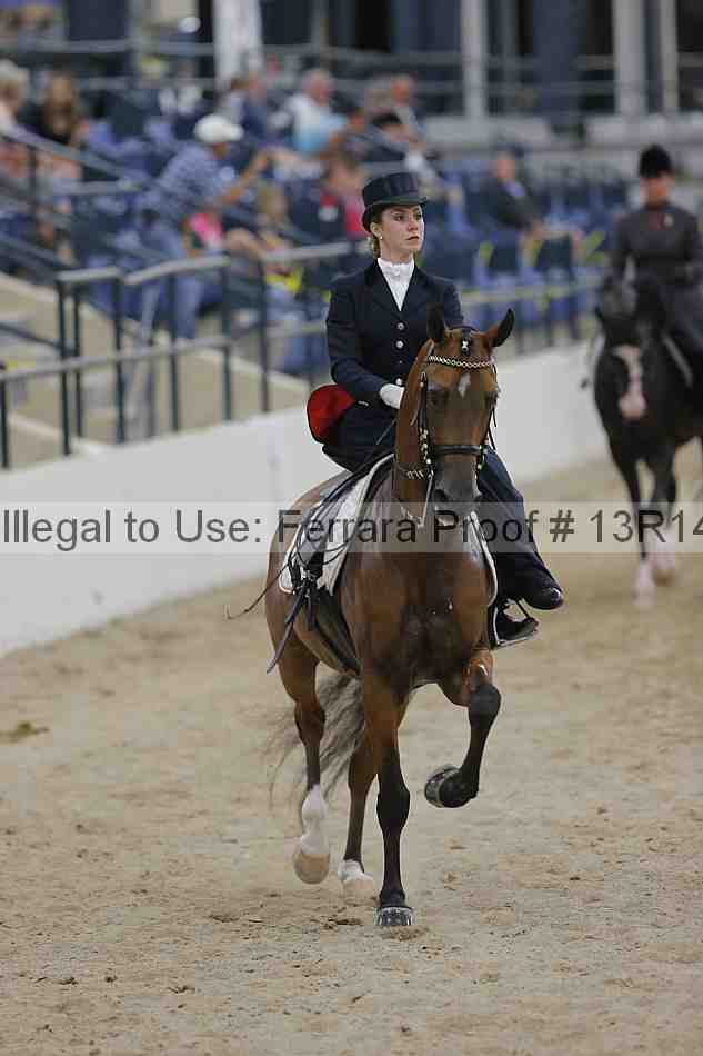 Proof 13r14_3176