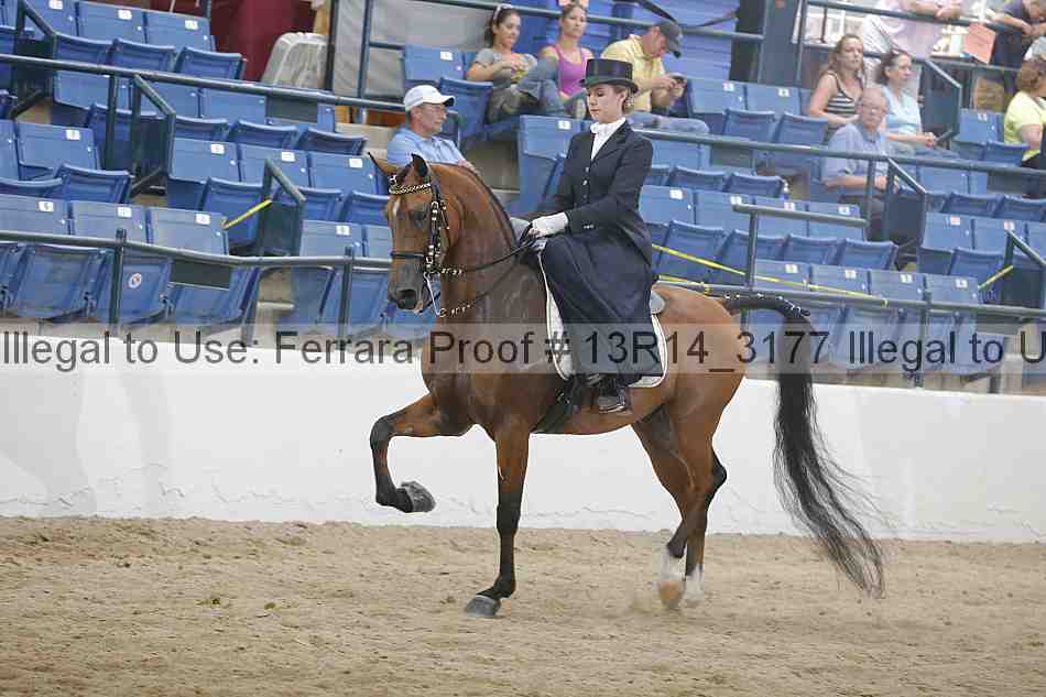 Proof 13r14_3177