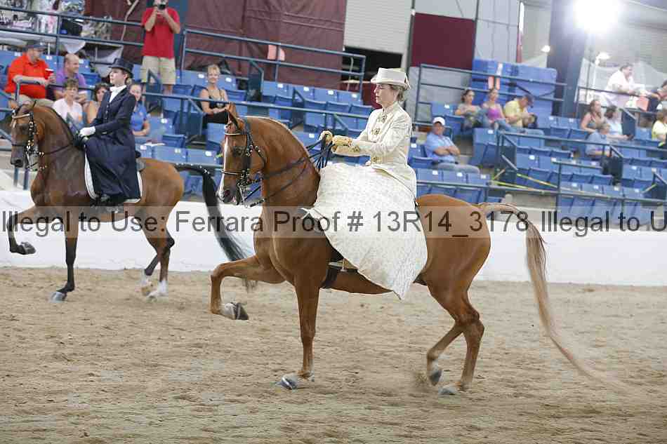 Proof 13r14_3178