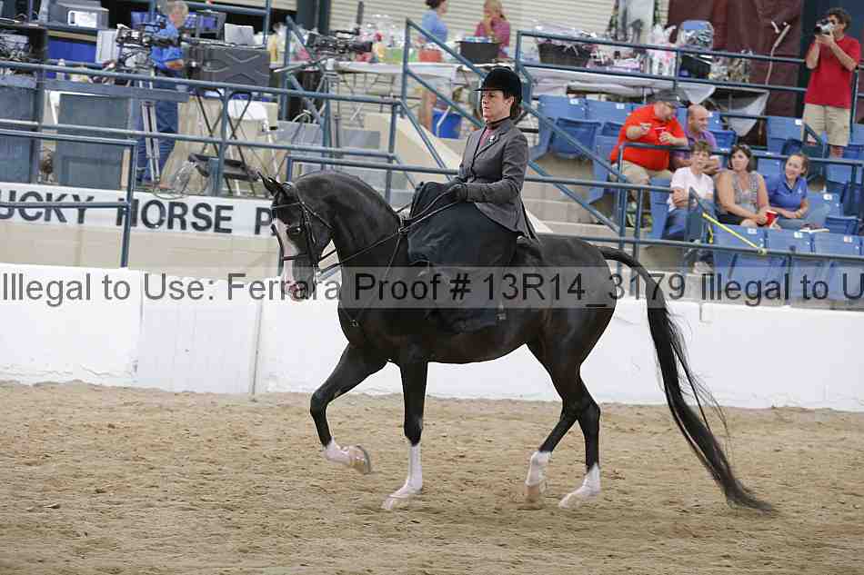 Proof 13r14_3179