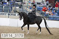 13r14_3179 proof