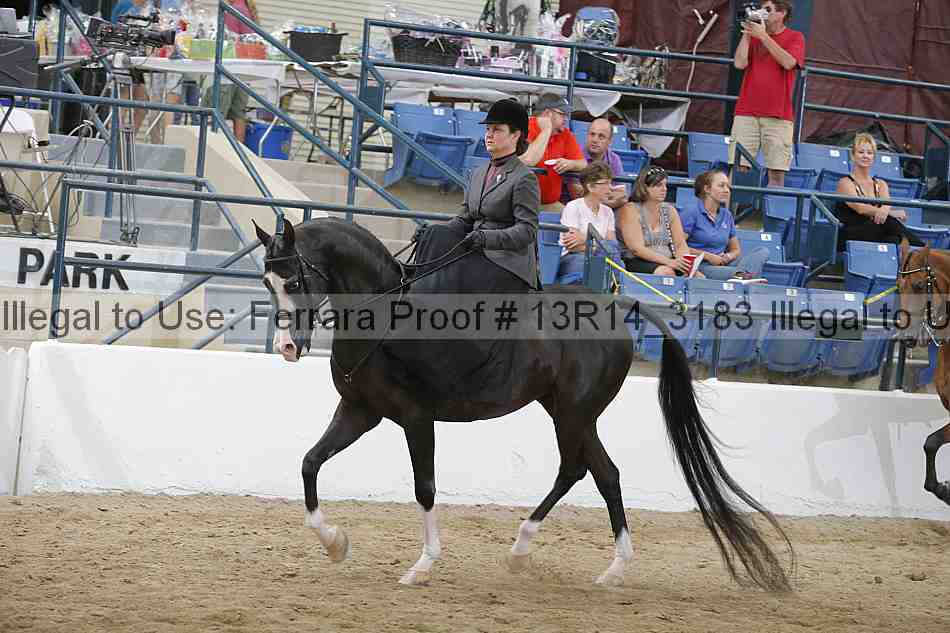 Proof 13r14_3183