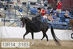 13r14_3183 proof