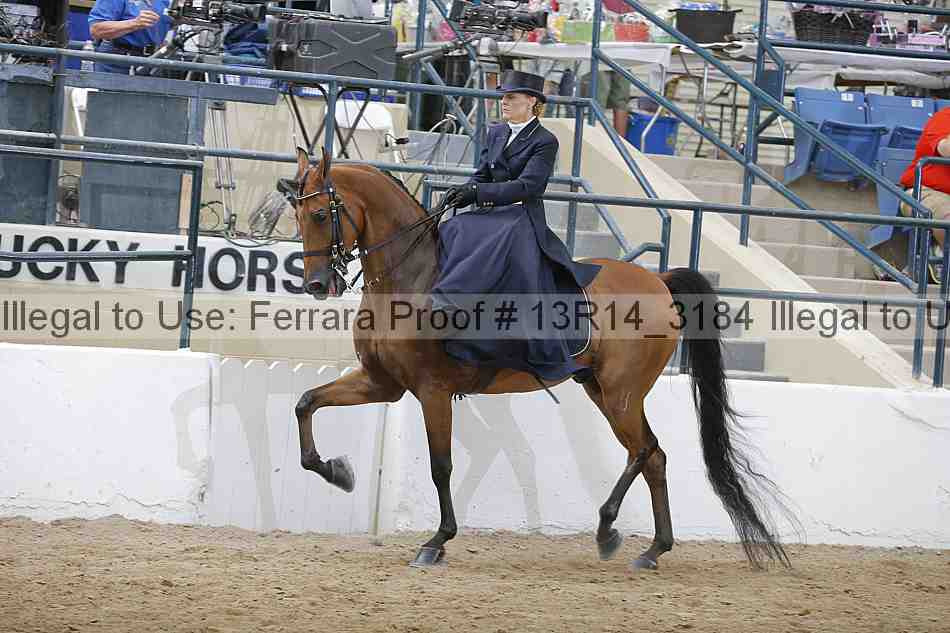 Proof 13r14_3184