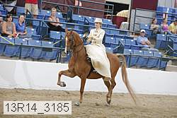 13r14_3185 proof