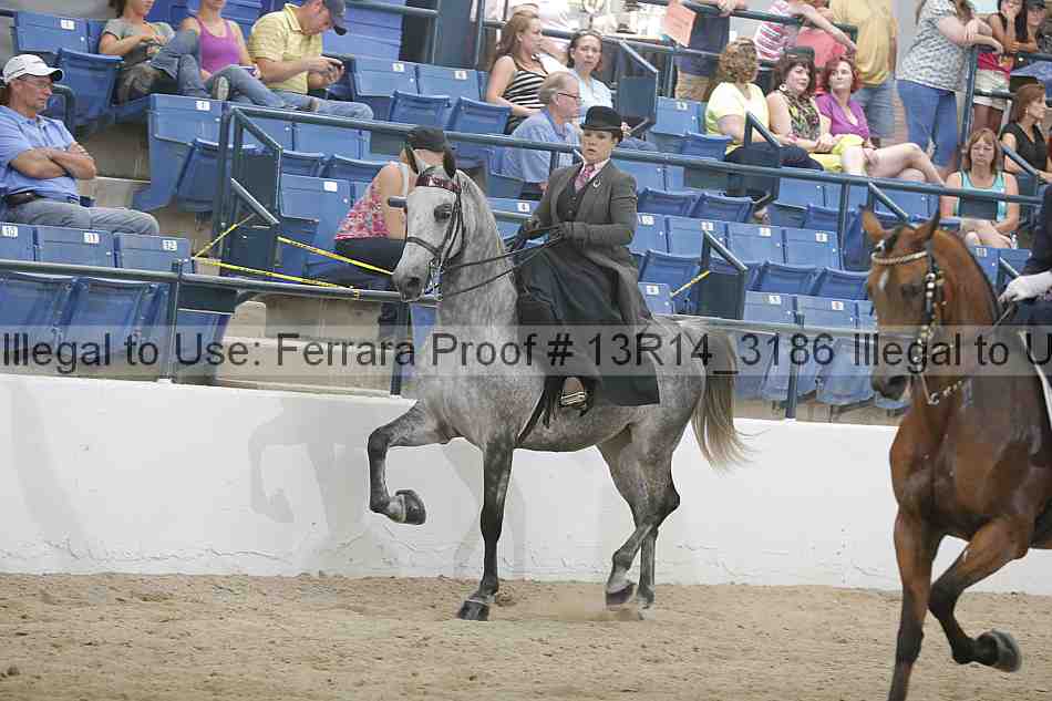 Proof 13r14_3186