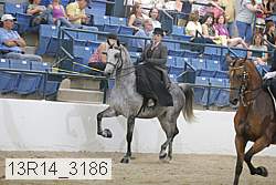13r14_3186 proof
