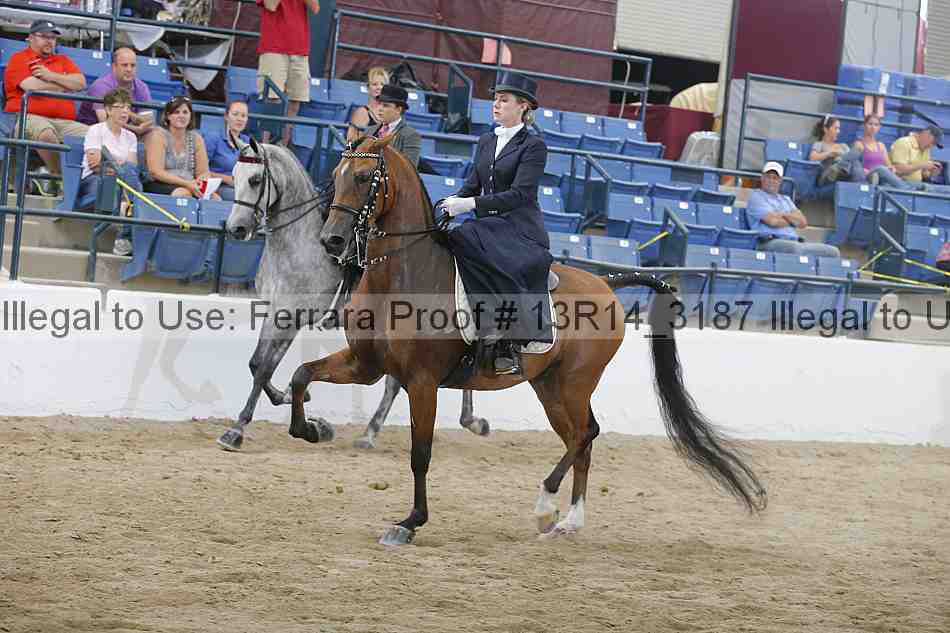 Proof 13r14_3187