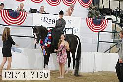 13r14_3190 proof