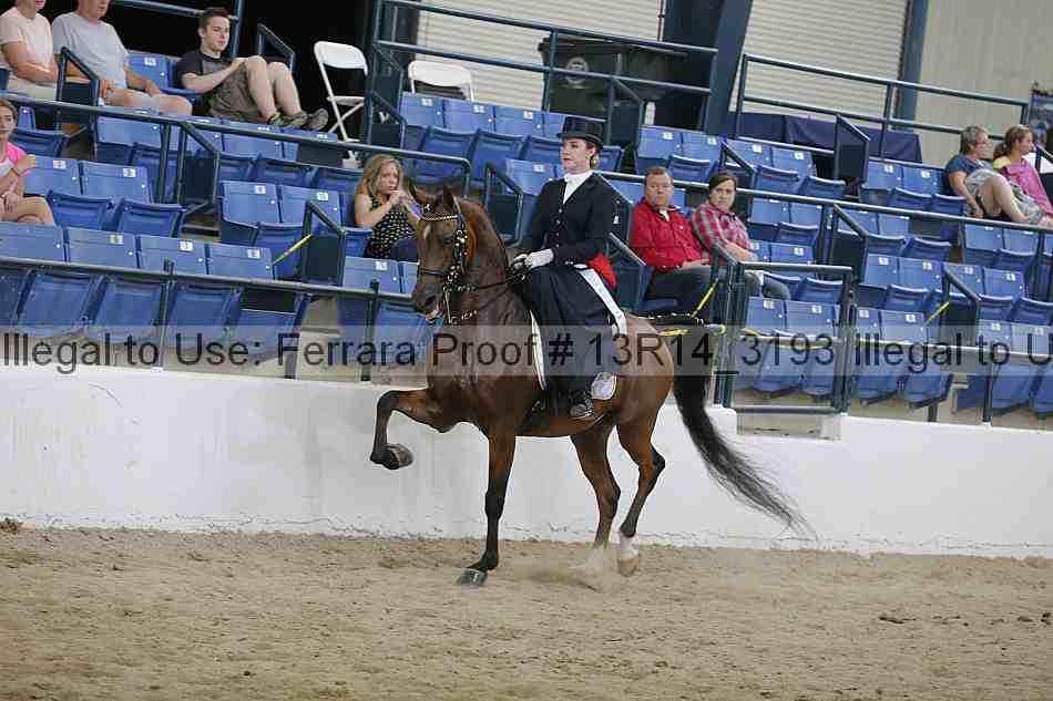 Proof 13r14_3193