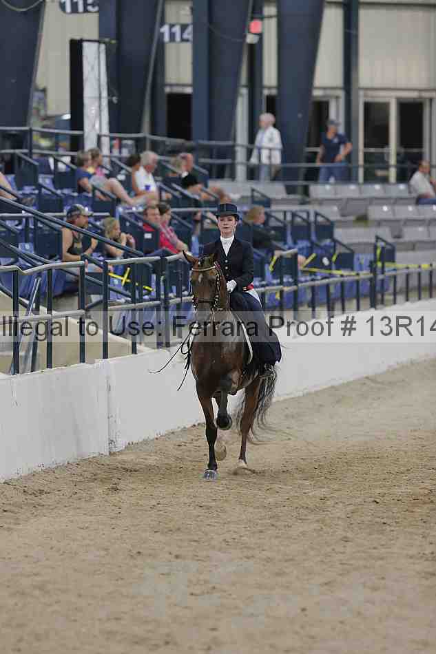 Proof 13r14_3194