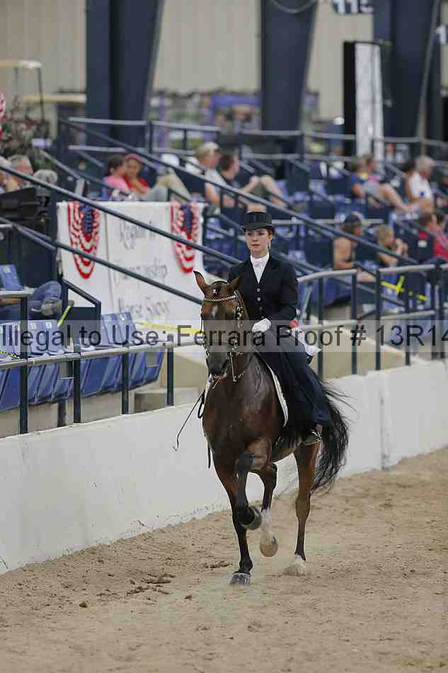 Proof 13r14_3195