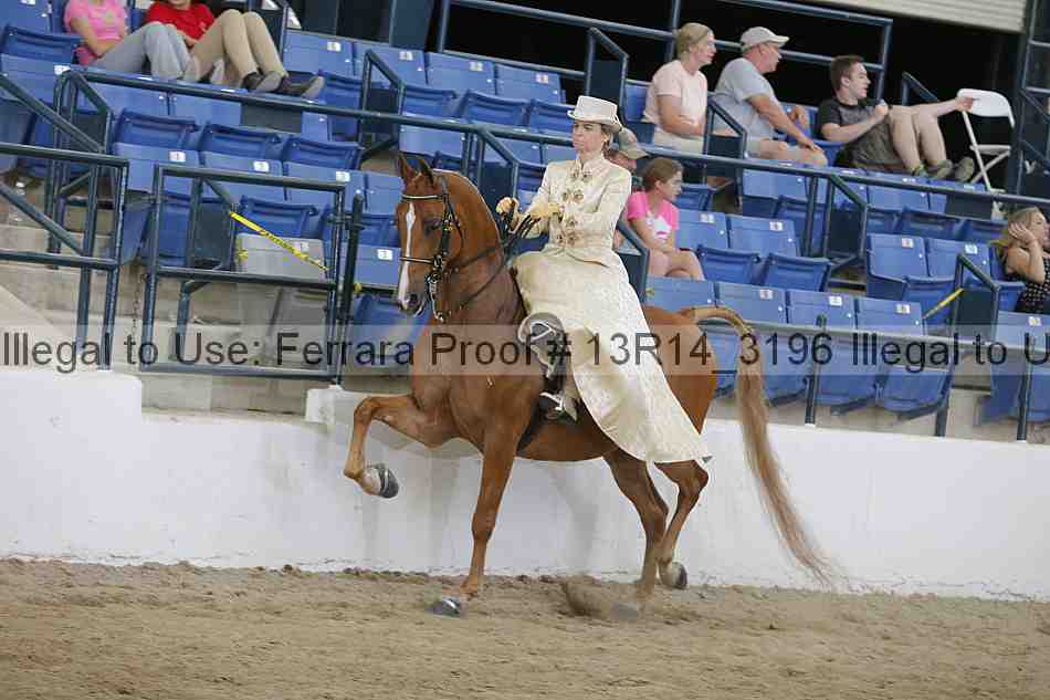 Proof 13r14_3196