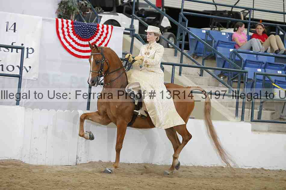 Proof 13r14_3197