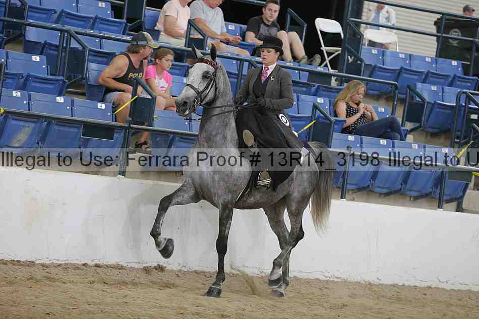 Proof 13r14_3198