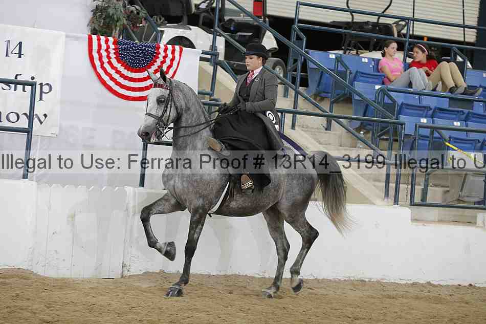 Proof 13r14_3199