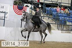13r14_3199 proof