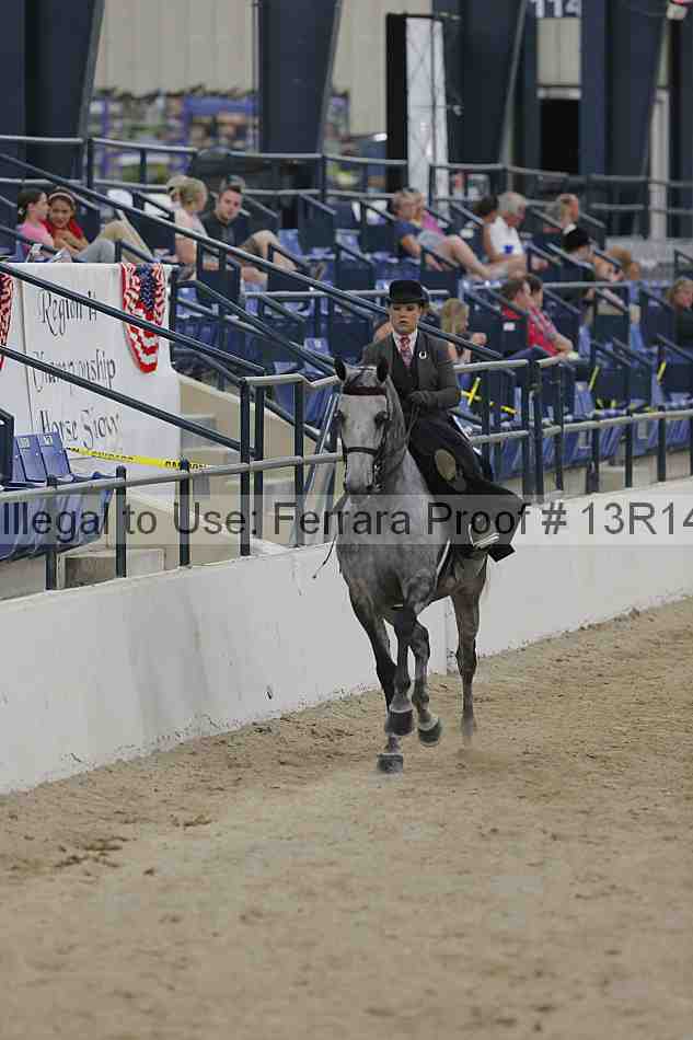 Proof 13r14_3203